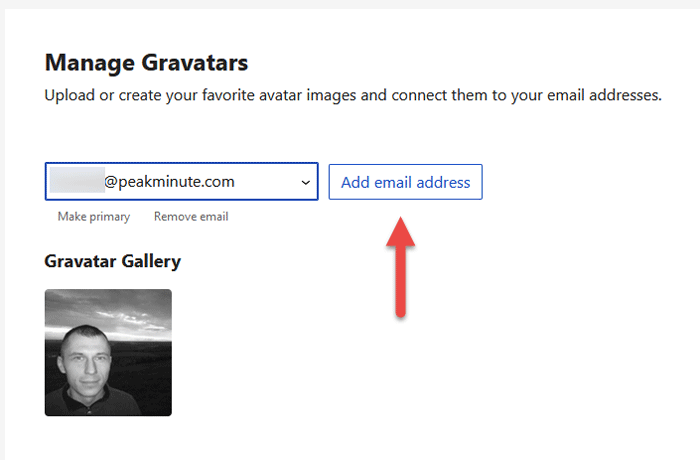 gravatar add email