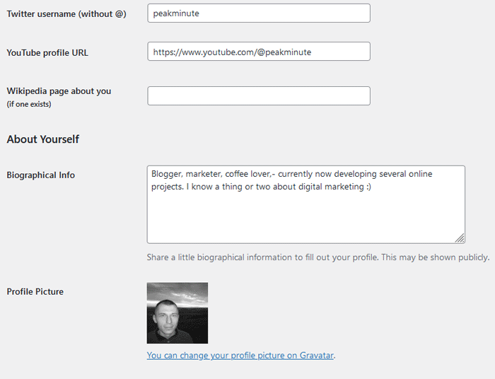 wordpress author information